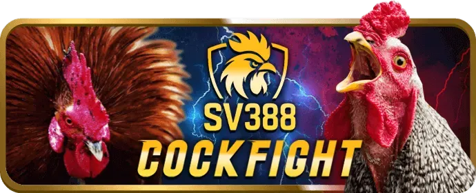 Chương trình hoàn trả hàng ngày mv66
